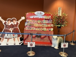 丸美屋食品、協賛24年目のミュージカル「アニー」夏ツアー　名古屋で大千穐楽