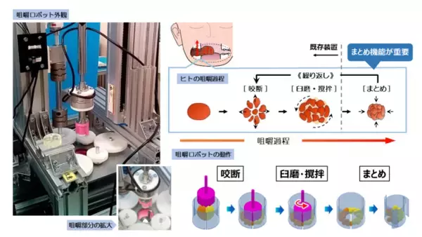 J-オイルミルズ、世界初という咀嚼ロボットを大阪大と開発、複雑な食感の評価が可能に