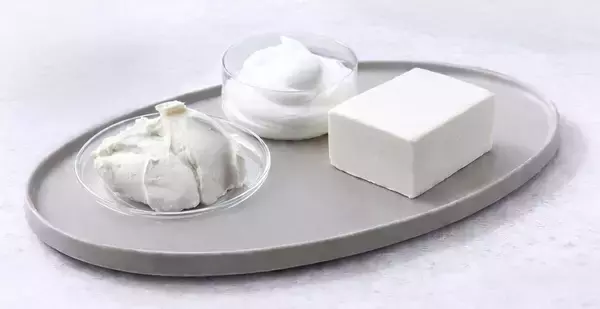 植物ミルク発酵素材の新ブランド「DEALI」、乳製品に並ぶ新たな選択肢に【不二製油】
