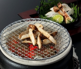 木曽路に「松茸」の季節到来　『松茸と和牛フェア』8月20日から期間限定開催