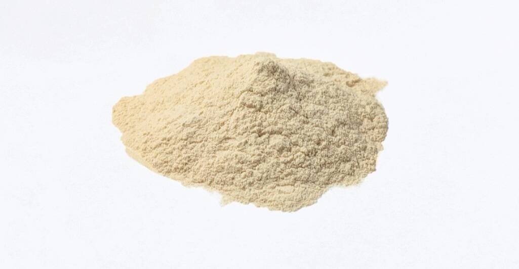 不二製油、おからを活用した食物繊維素材「ソヤセル」を新展開/豆乳クリームバター「ソイレブール」はバター代替として注目