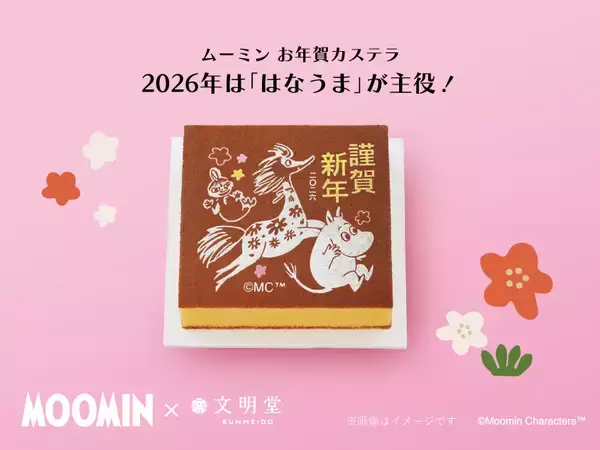「「ムーミン お年賀カステラ」販売開始、午年にちなんでムーミンの物語に登場する“はなうま”をデザイン【文明堂】」の画像