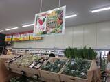 「ローソン、「ハッピーローソンタウン」東日本1号店を都内に」の画像2