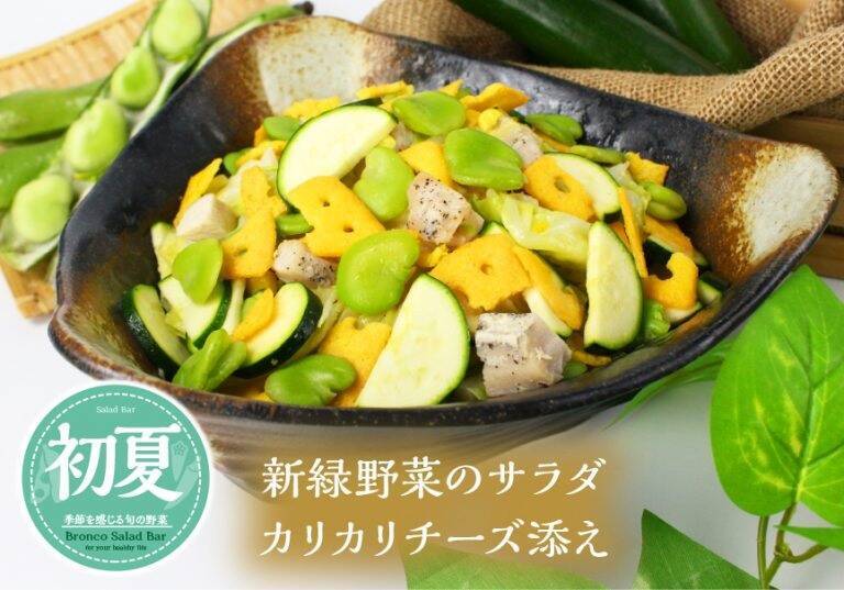 ブロンコビリー、「初夏サラダバー」4月26日開始、ズッキーニやオクラ、ナスやそら豆など初夏の野菜を使用、「新緑野菜のサラダ カリカリチーズ添え」など提供