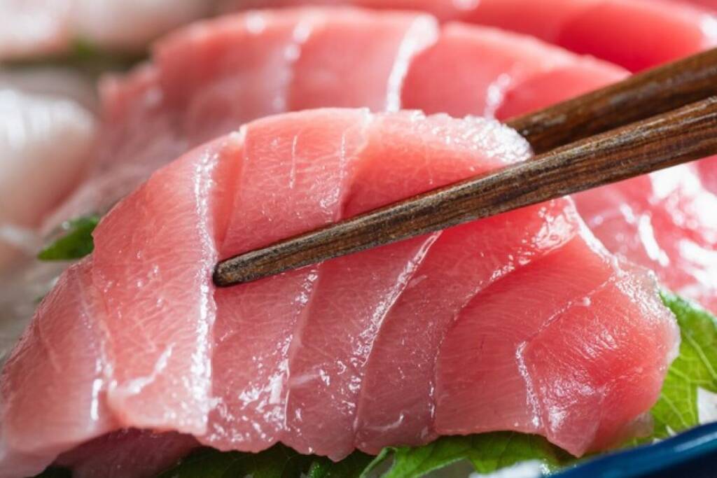 食べ飲み放題（3,300円）を頼めば「追加料金なし」で本マグロも食べ放題になる　人気居酒屋でキャンペーン開催