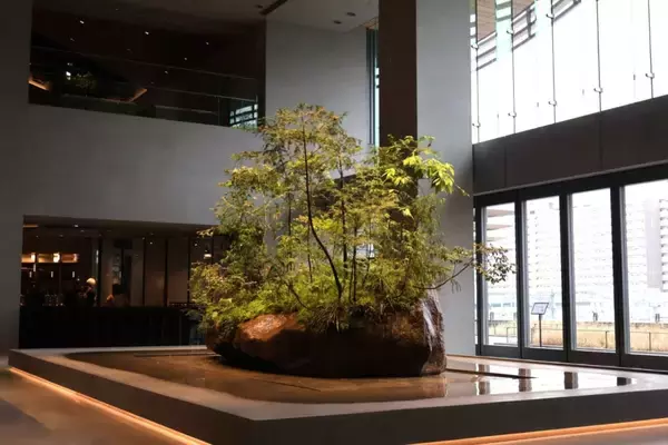「小川珈琲、高輪に最大規模ラボ型店舗「OGAWA COFFEE LABORATORY 高輪」開業　複合開発と連動、食と体験の融合拠点に」の画像