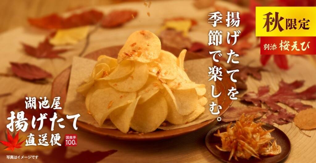 湖池屋、オンラインショップ限定「湖池屋揚げたて直送便」から「秋の揚げたて直送便 柚子香る出汁」期間限定で販売/累計900万食を突破した人気シリーズ