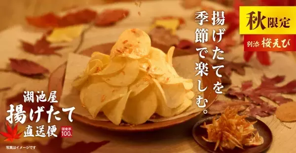 「湖池屋、オンラインショップ限定「湖池屋揚げたて直送便」から「秋の揚げたて直送便 柚子香る出汁」期間限定で販売/累計900万食を突破した人気シリーズ」の画像