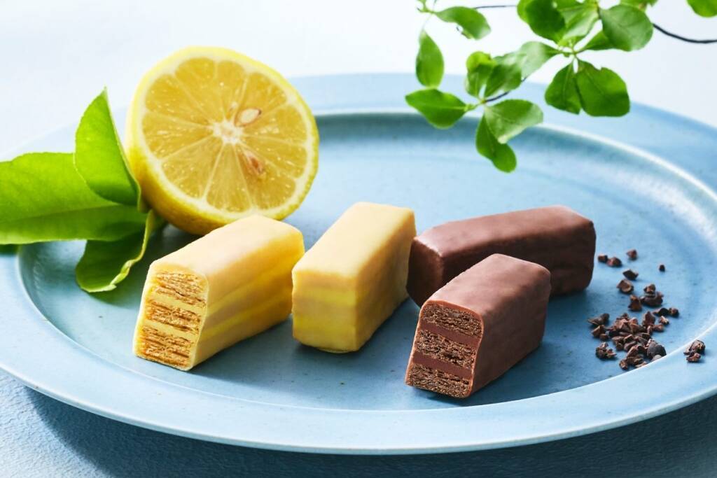 シュガーコートで夏需を喚起　メリーチョコレートが新ギフトを提案