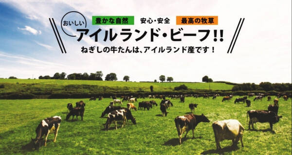 牛タンねぎし でアイルランドビーフフェア 旅行券やラグビーグッズ お食事券などプレゼント 19年10月4日 エキサイトニュース