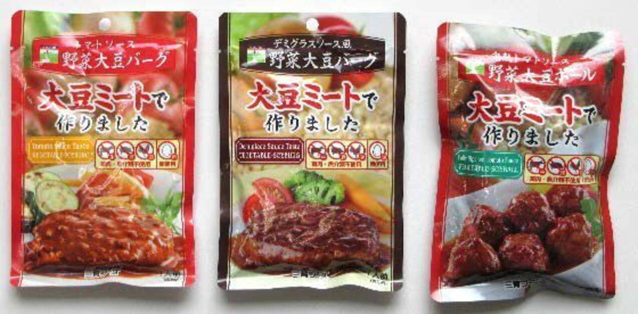 高品質新品 送料無料 三育フーズ デミグラス風野菜大豆バーグ 100g×15袋入 edilcoscale.it