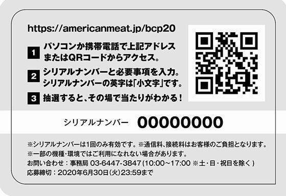 70以上 大戦略web シリアルコード 一覧