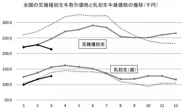 枝肉相場・素牛価格の下落でF1初生牛価格も急落、ヌレ子も前年価格下回る