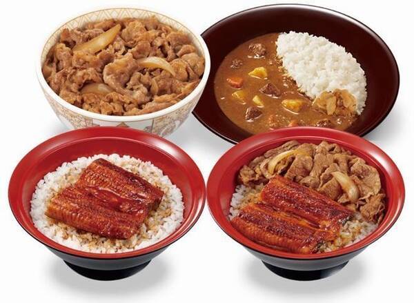 すき家 牛丼 カレー うな丼 うな牛など何度でも70円引き 定期券 Suki Pass すきパス 8月発売 年7月29日 エキサイトニュース