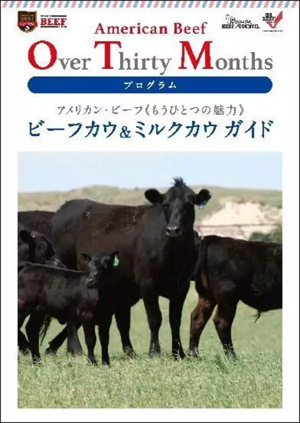 アメリカン・ビーフ「ビーフカウ＆ミルクカウ ガイド」発刊、月齢制限緩和で注目