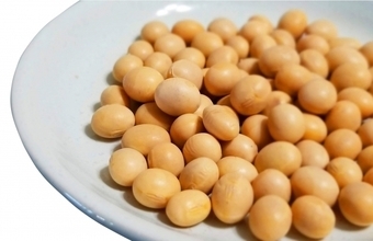 製油・加工油脂メーカーが相次ぎ値上げ発表、大豆・菜種・パーム油の高騰が影響