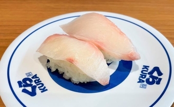 くら寿司が低利用魚の活用に力を入れるわけ、「琉球スギ」期間限定発売
