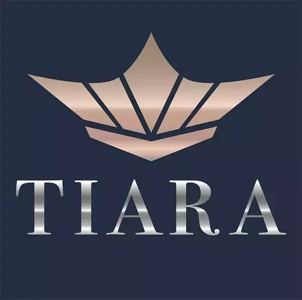 穀物乾燥機「TIARA」シリーズ新発売、視認性とメンテナンス性向上/サタケ