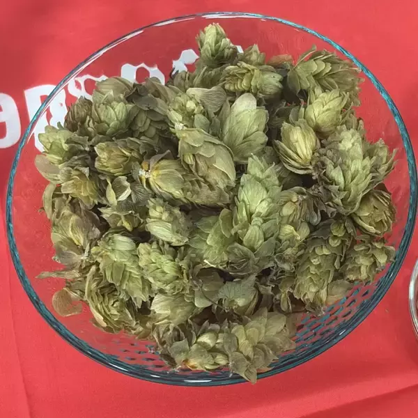 「ポッカサッポロ、「飲まない日」に照準　「北海道富良野ホップ炭酸水」が売上162%」の画像