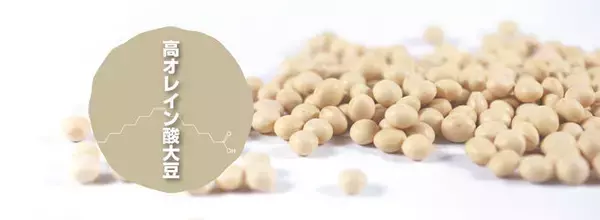 非遺伝子組み換え「高オレイン酸大豆」ウェブサイト開設/森光商店