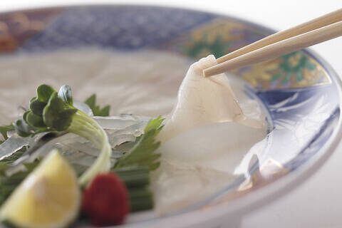 【てっさが1円】国産とらふぐのコースやテイクアウトも安くなる　「とらふぐ亭」全店でキャンペーン開催