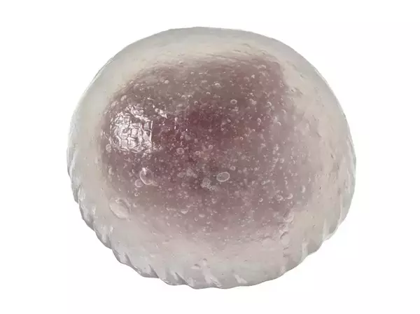 6月16日「和菓子の日」に向けて、食感にこだわった全5品の和菓子を販売【セブン‐イレブン】