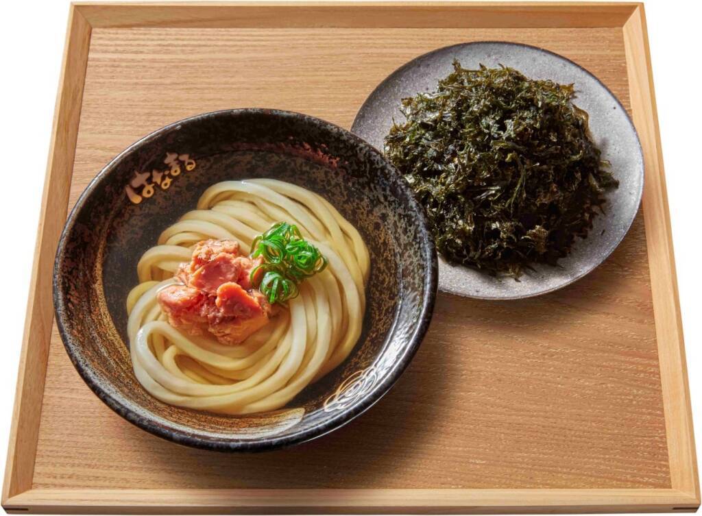 【はなまるうどん】新感覚「だし茶漬け風うどん」全3種を発売、有明産海苔を使用