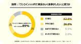 「マクドナルド「500円セット」3種類をアピール、新CMに多部未華子さんが再登場」の画像3