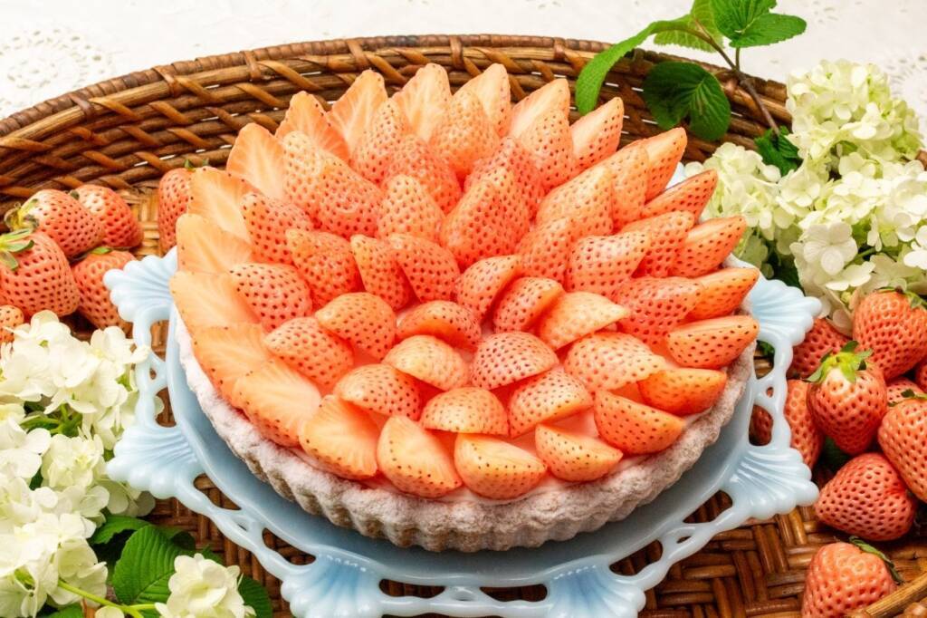 紅ほっぺ・あまおう・きらぴ香など…クリスマス限定のイチゴタルトなど6日間限定で販売【キル フェ ボンのクリスマス】