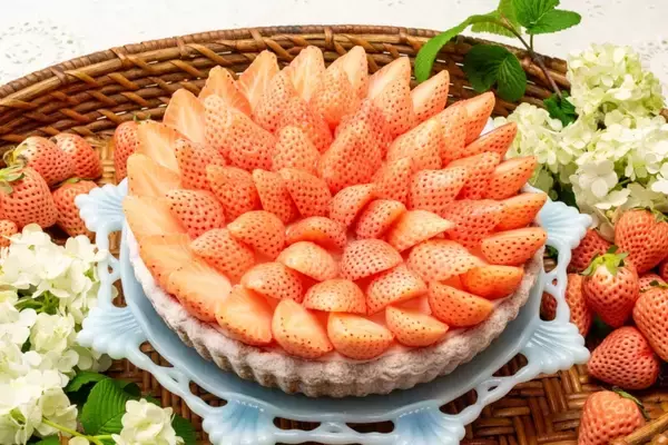 「紅ほっぺ・あまおう・きらぴ香など…クリスマス限定のイチゴタルトなど6日間限定で販売【キル フェ ボンのクリスマス】」の画像