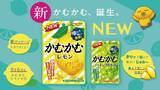 「お菓子の「かむかむ」シリーズがリニューアル、「かむかむレモン」と「かむかむシャインマスカット」は果汁配合バランスを変更」の画像1