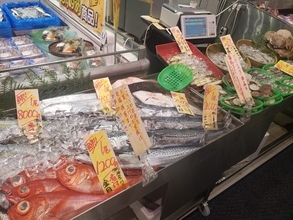 イトーヨーカ堂が6年ぶりの黒字転換、鮮魚専門店などが支持