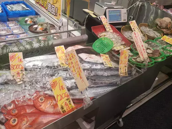 イトーヨーカ堂が6年ぶりの黒字転換、鮮魚専門店などが支持