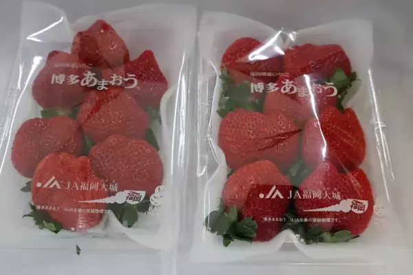 「【2025年ふるさと納税動向】“生活応援” or “プチ贅沢”「物価高時代のさとふるマルシェ」メディア取材会」の画像