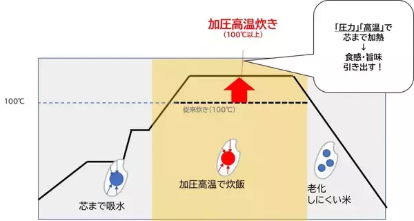 「永谷園、お湯を入れるだけの「カップ入り お茶づけ海苔」「カップ入り さけ茶づけ」9月9日発売、「永谷園のお茶づけ」がいつでもどこでも楽しめる」の画像
