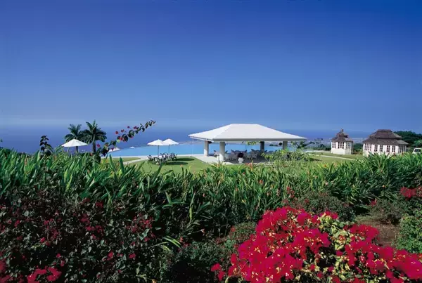 「2026年焙煎初日のコーヒー「初釜2026」、250セット限定で予約開始【ドトールコーヒー】」の画像