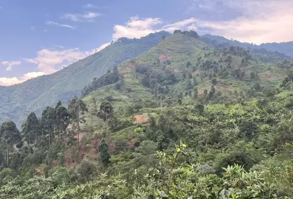 「2026年焙煎初日のコーヒー「初釜2026」、250セット限定で予約開始【ドトールコーヒー】」の画像