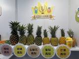「台湾食品業界、AI活用と高付加価値化が加速　FOOD TAIPEI 2026で最新動向を探る」の画像3