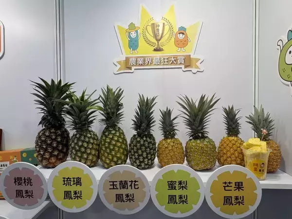 「台湾食品業界、AI活用と高付加価値化が加速　FOOD TAIPEI 2026で最新動向を探る」の画像
