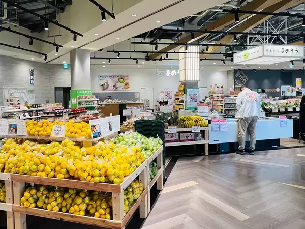 「【食関連の店舗数 アウトレット日本一】三井アウトレットパーク岡崎オープン、45店舗の食関連店舗が出店/地元の人気店や東海・愛知初出店の店も」の画像