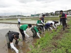 ミツハシ×横浜武道館×横浜エクセレンスの3者連携企画　地場産品「横濱武道舞(米)」田植えイベント
