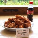「コカ・コーラ、唐揚げで食事需要開拓　日本の食事時飲用は主要40カ国平均の6分の1」の画像13