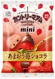 「【不二家】苺を使った旬先取りの菓子4品を期間限定で発売/「ミルキー(苺&ピスタチオ)」、「カントリーマアム(あまおう苺ショコラ)」など」の画像7