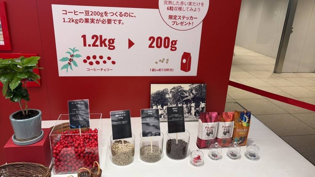 伊藤園・タリーズ、東京駅で「コーヒーは果実だ」イベント コスタリカ産完熟コーヒーなど飲み比べ