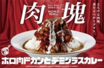 【ココイチ】「肉塊カレー」の販売開始、「肉塊オーダー制」で豚肩ロース肉の量を選べる（最大レベル4まで）