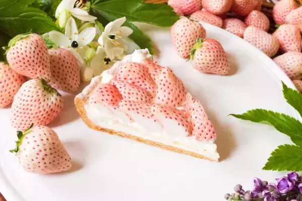 「【キルフェボン】旬のいちごタルト11種以上が登場するフェア開催、きらぴ香・桃薫・紅ほっぺ・あまおうなど…全国各地のフレッシュなイチゴを使用」の画像