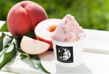 “国内最大規模”アイスクリームイベント「あいぱく」東京・吉祥寺で初開催、各地のご当地アイスなど集結