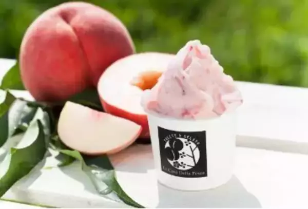 「“国内最大規模”アイスクリームイベント「あいぱく」東京・吉祥寺で初開催、各地のご当地アイスなど集結」の画像