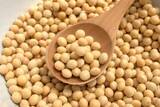 「大豆たん白市場、上期の出荷･自社使用量プラスで折り返す明るい兆し」の画像1