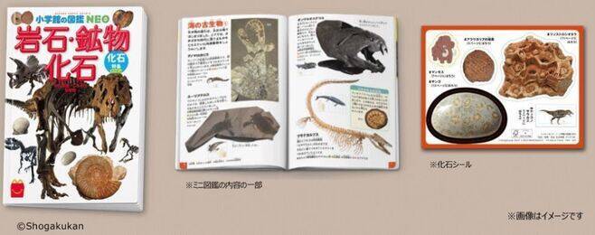 マクドナルド“さかなクン”とコラボ、ハッピーセットに絵本「さかなクンとうみのなかのがっこう」、映画「さかなのこ」主演“のん”と描いたイラストシール付き